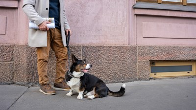 Peiton kertymä aikakauslehdissä