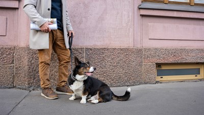 Tässä ovat vuoden 2023 suurimmat aikakausmediat somessa