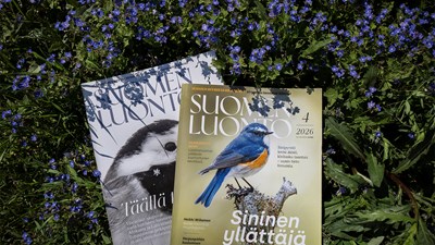 Pienelläkin budjetilla voi saada aikaan näyttävän lehden – näin se tehdään