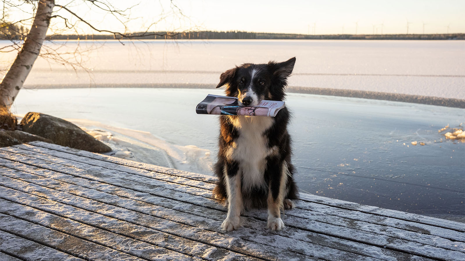 Luitko jo nämä? Tässä vuoden 2025 suosituimmat juttumme!