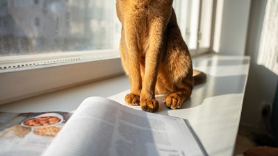 Aikakauslehtien parissa viihdytään pidempään kuin ennen – katso pisimpään luettujen lehtien lista!