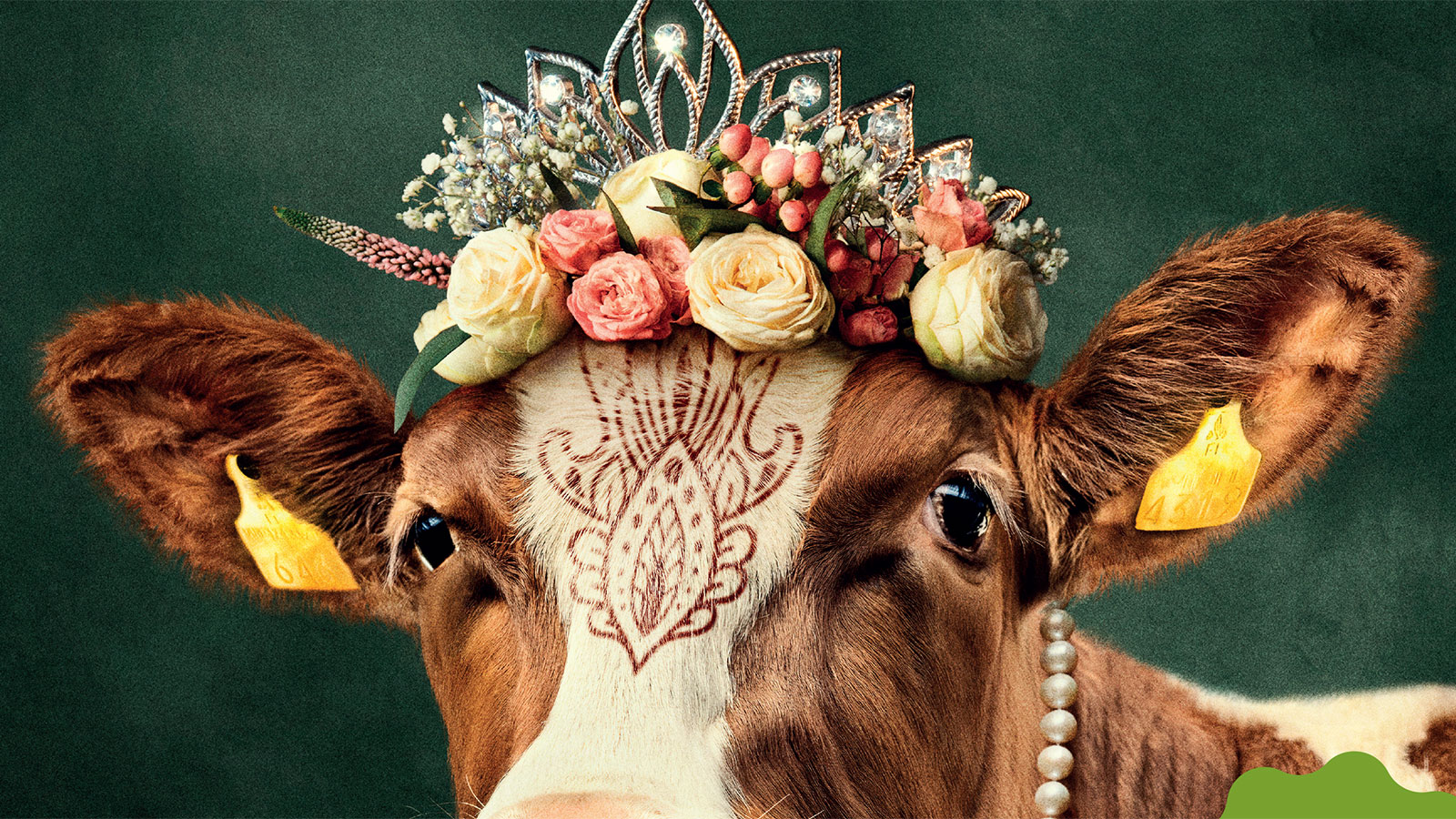 Mitä syntyy, kun lehmä stailataan Vogue-kelpoiseksi? Tietysti Kuukauden paras aikkarimainos!