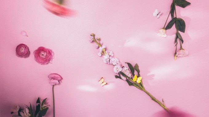 Onnistunut printtipanostus, somealgoritmien kukistus ja aikkareiden maailmanvalloitus – 7 hyvää uutista aikkareista