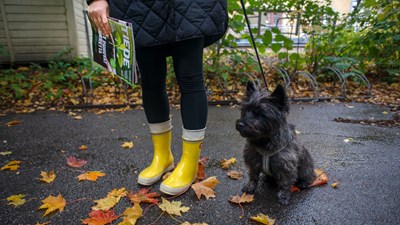 Painetuille aikkareille huipputuloksia hektisessä digiajassa – Tiede Luonto kasvatti lukuaikaansa reippaasti